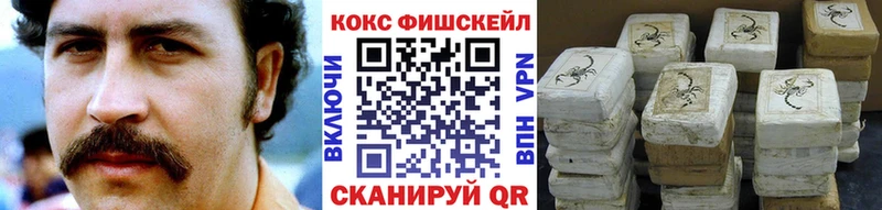 Купить  Новосибирск  Cocaine Fish Scale 