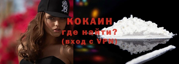 индика Козельск