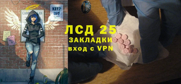 индика Козельск