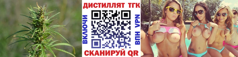 ТГК THC oil  Купить где  Новосибирск 