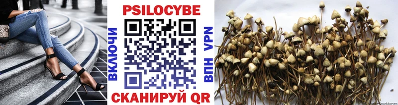 Купить  Новосибирск  Псилоцибиновые грибы Cubensis 